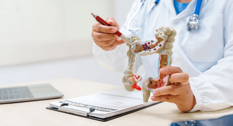ATH-063 Bowel Model